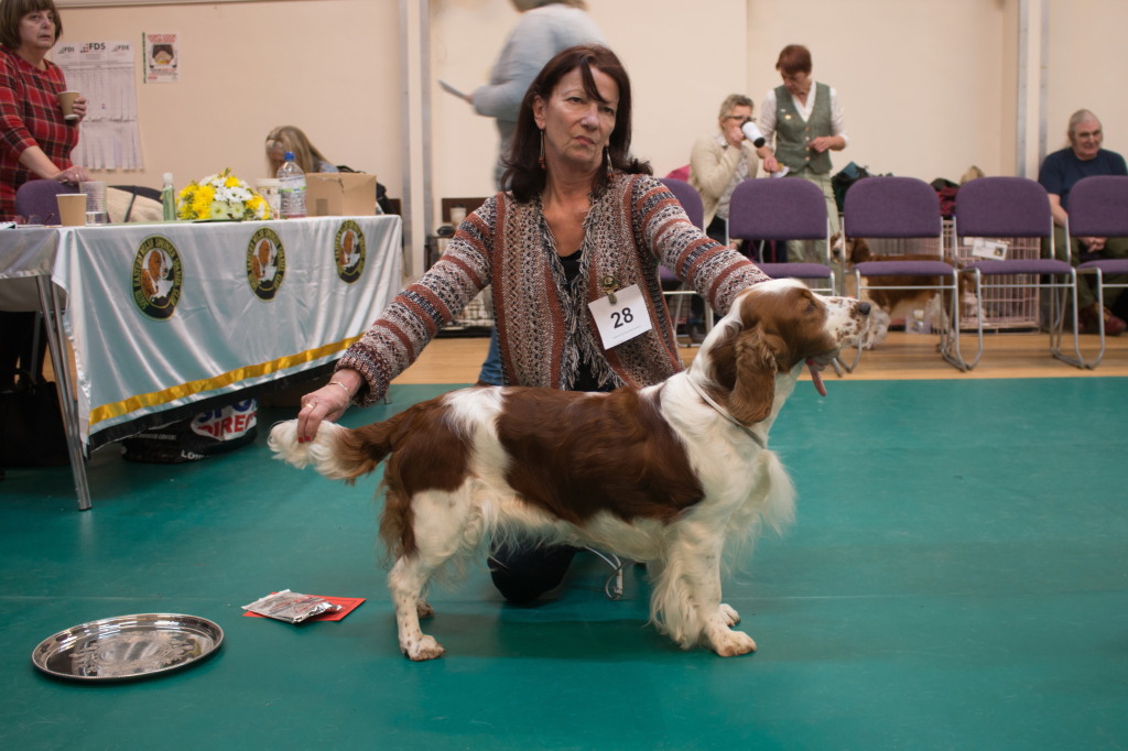 Open Bitch Open Bitch